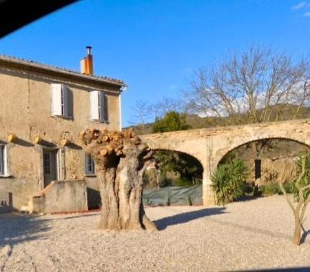 La Maison De L'Aqueduc Cournanel Экстерьер фото